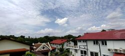 Tanglin Rise (D10), Detached #595188801